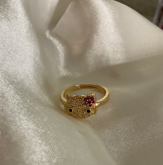 Hk ring
